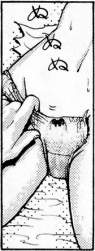 75582 B