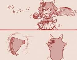 55574 B
