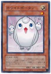 87525 B