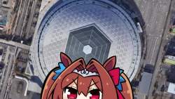 4899184 B