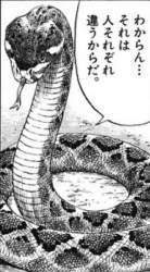 72686 B