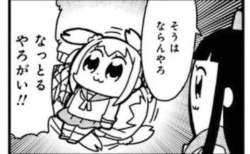40486 B