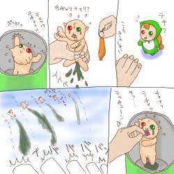 477797 B
