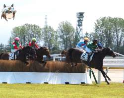 2899389 B