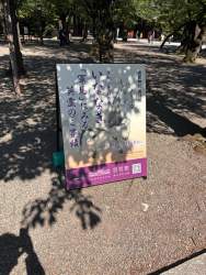 1110591 B