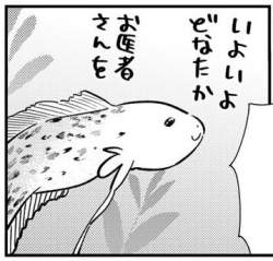 39798 B