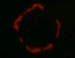 8183604 B