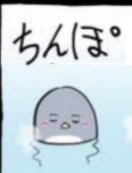 54926 B