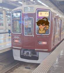 1248231 B