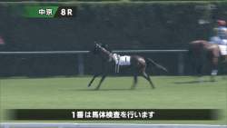 4801388 B