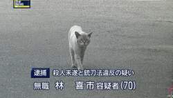 228599 B