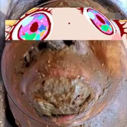 40298 B