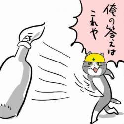 46771 B