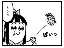 22833 B