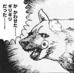 66527 B
