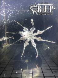 50782 B