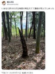 143610 B