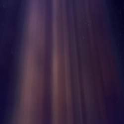 1372165 B