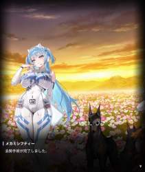 1132455 B