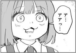 50466 B