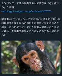 256087 B