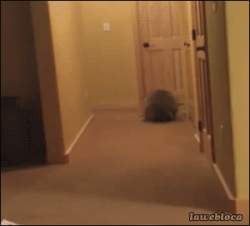 1876227 B