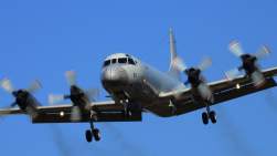 42445 B