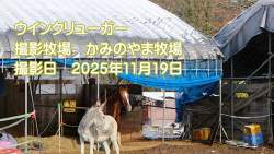 2002575 B
