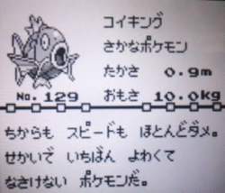21575 B
