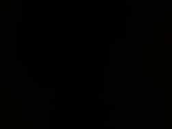 7331520 B