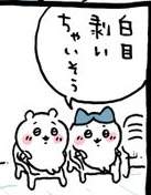 13092 B
