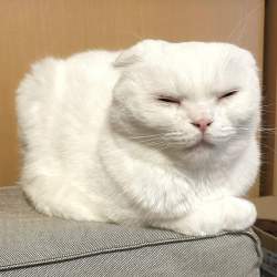 122391 B