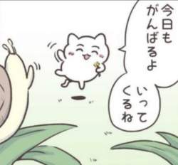 169817 B