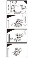 47216 B