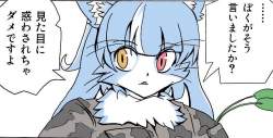 80496 B