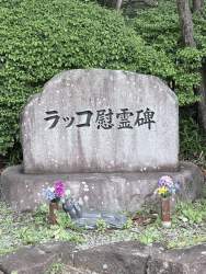1056334 B