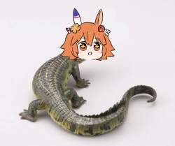 292873 B
