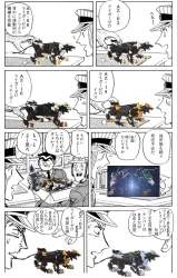 366048 B