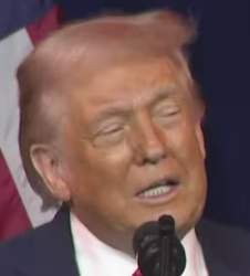24453 B