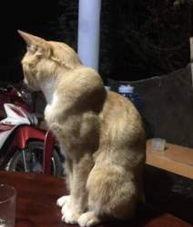 130552 B
