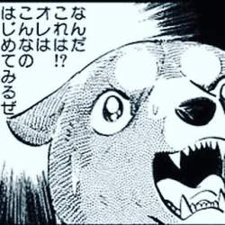 43646 B