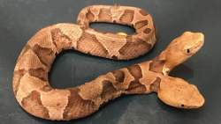 84795 B