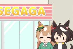 66282 B