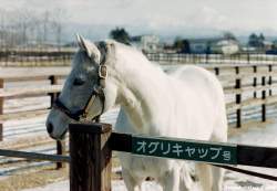 166839 B