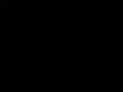 6600831 B