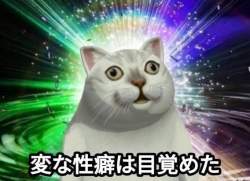 44304 B