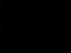 3029017 B