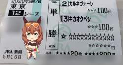213558 B
