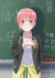 44436 B
