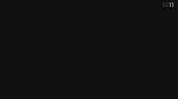 7783510 B